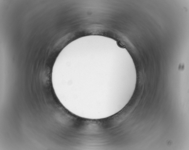 X0000091070073200709041228