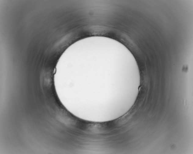 X0000091070074200709041228