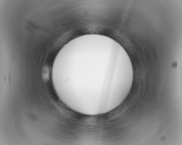 X0000091070075200709041228