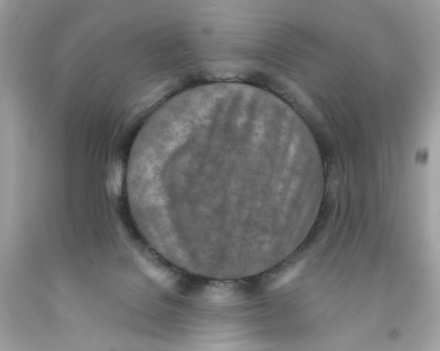 X0000091070076200709041228