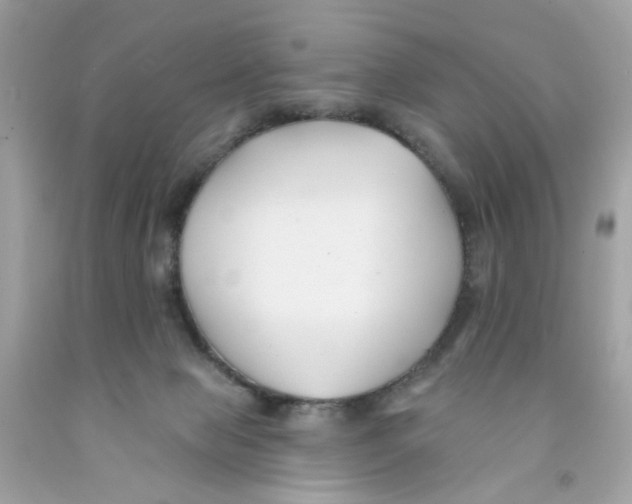 X0000091070077200709041228