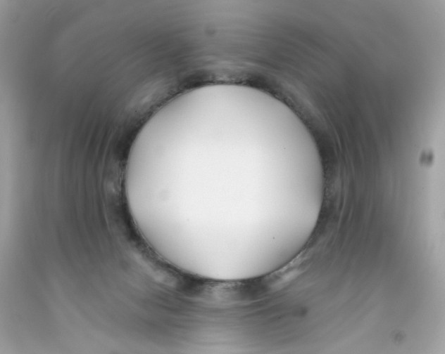 X0000091070078200709041228