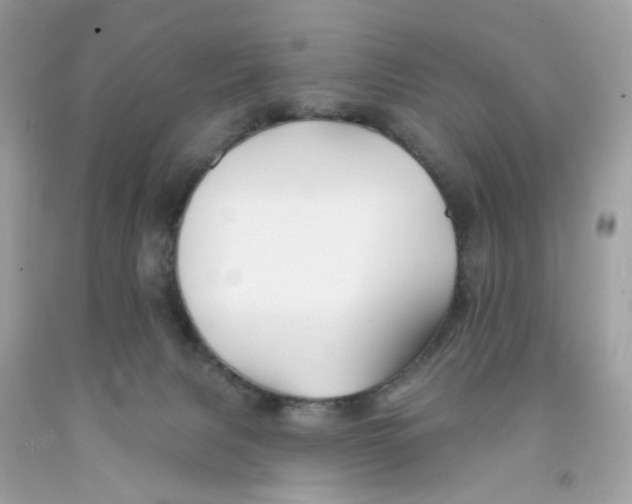 X0000091070079200709041228