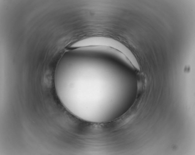 X0000091070080200709041228