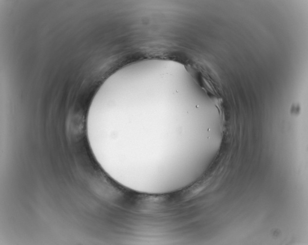 X0000091070081200709041228