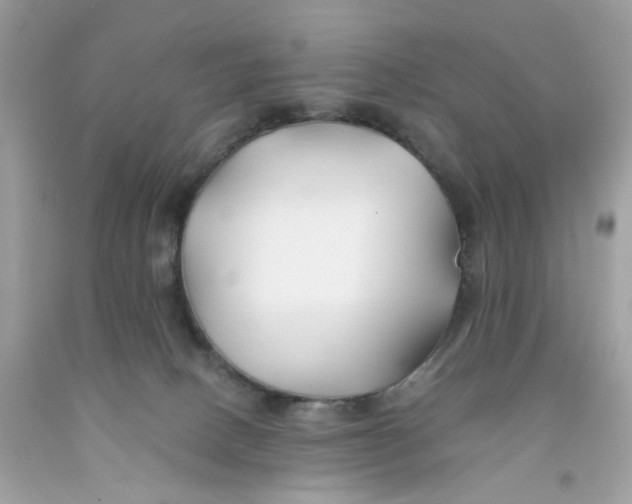 X0000091070082200709041228