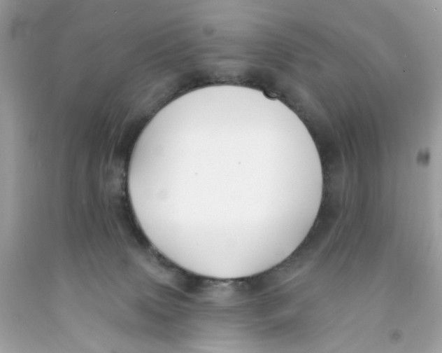 X0000091070083200709041228