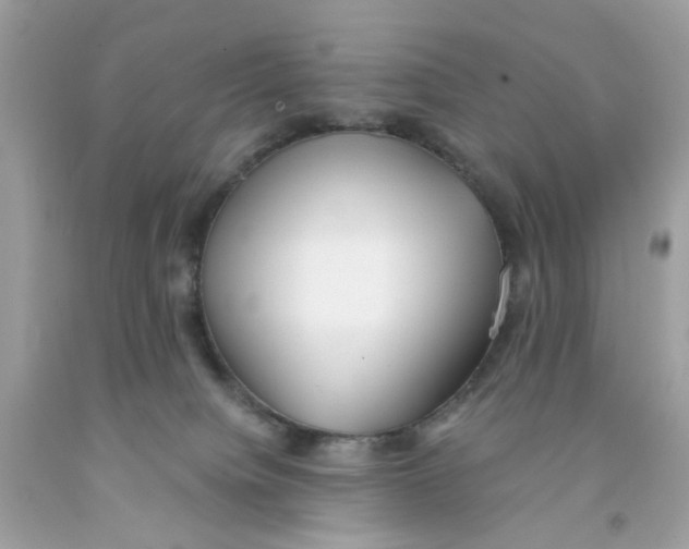 X0000091070084200709041228