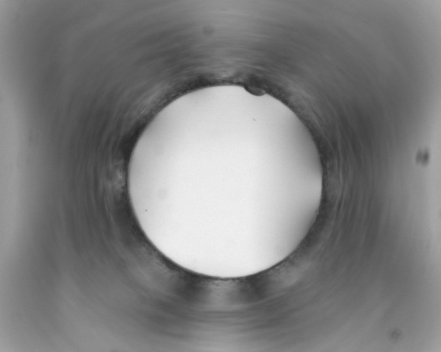 X0000091070085200709041228