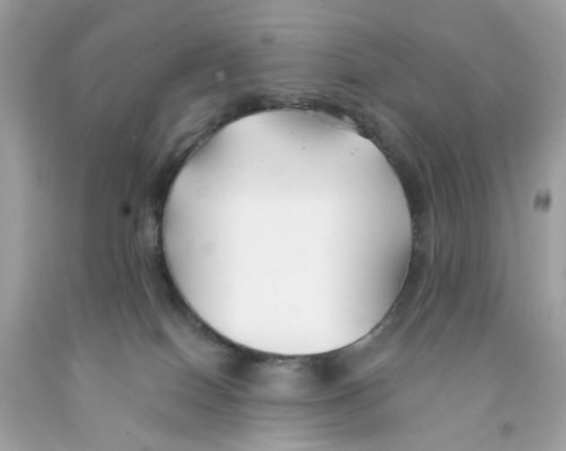 X0000091070086200709041228