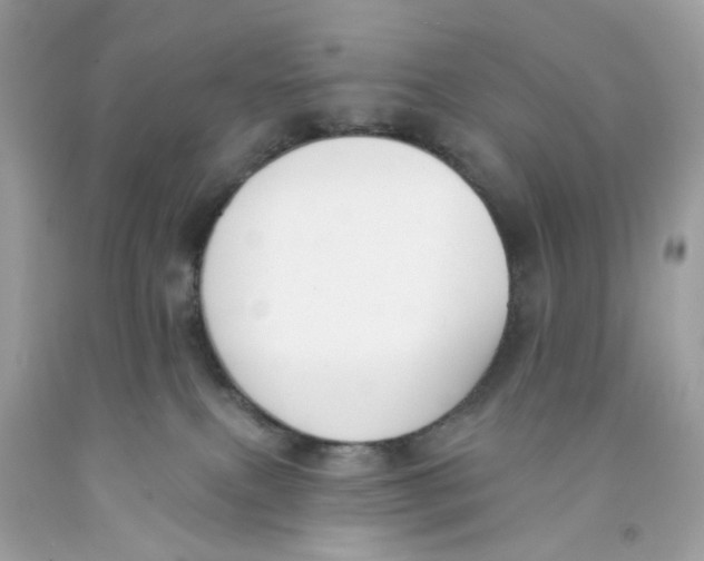 X0000091070087200709041228