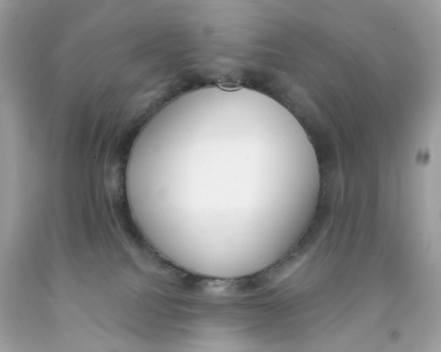 X0000091070088200709041228