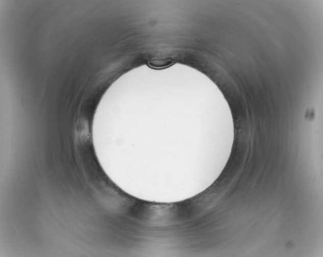 X0000091070089200709041228