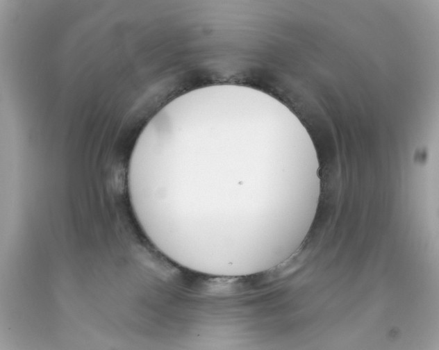 X0000091070090200709041228