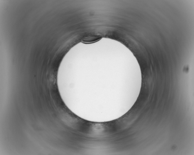 X0000091070091200709041228