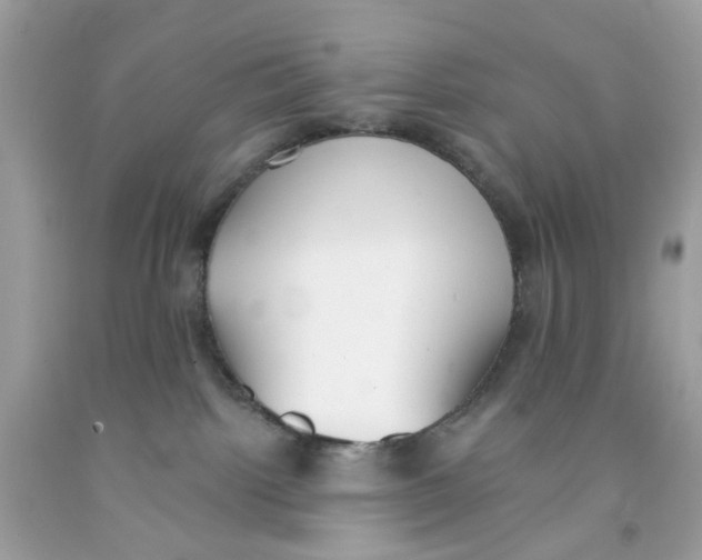X0000091070092200709041228