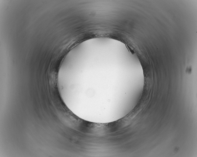 X0000091070093200709041228