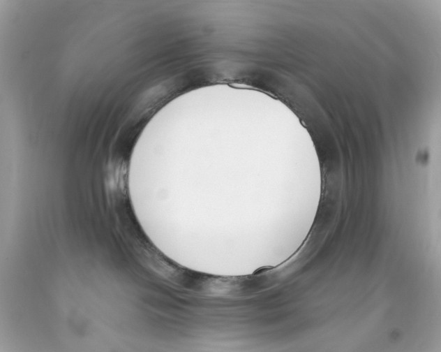 X0000091070094200709041228