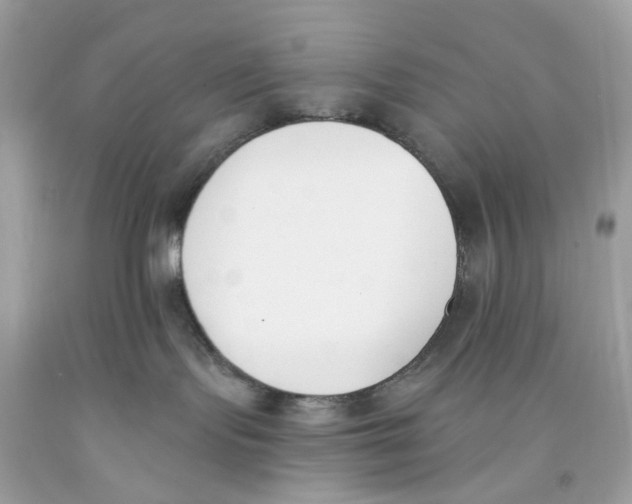 X0000091070095200709041228