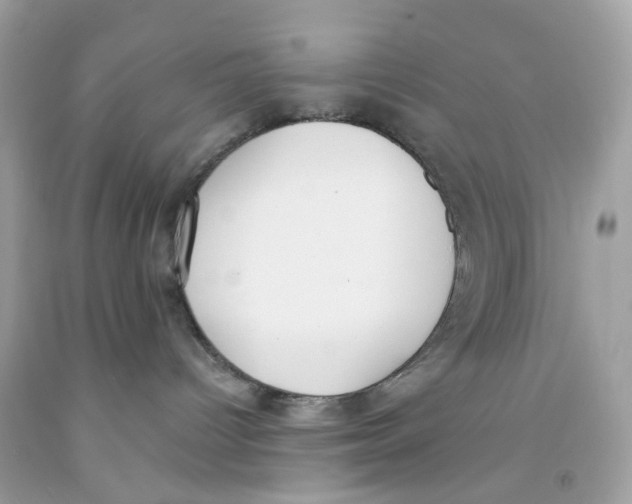 X0000091070096200709041228