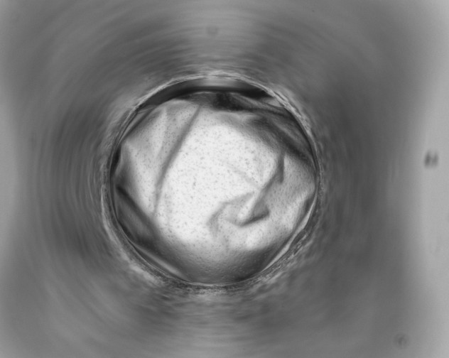 X0000091070097200709041228