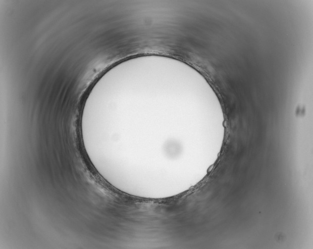 X0000091070098200709041228
