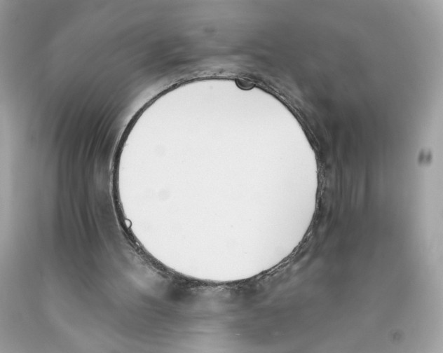 X0000091070100200709041228