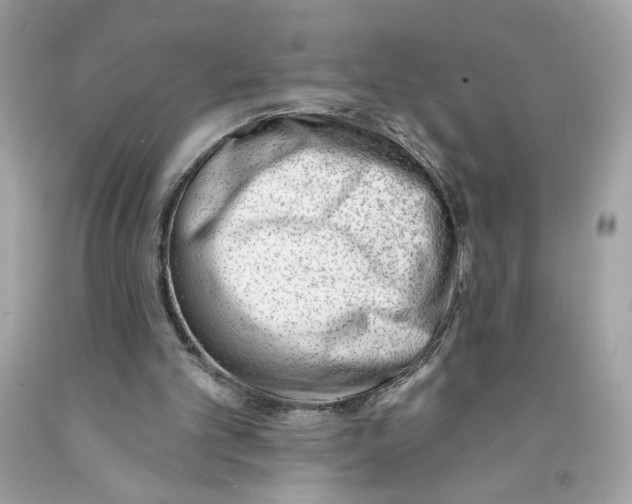 X0000091070101200709041228
