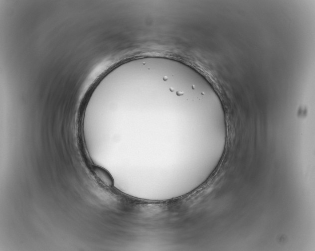 X0000091070102200709041228