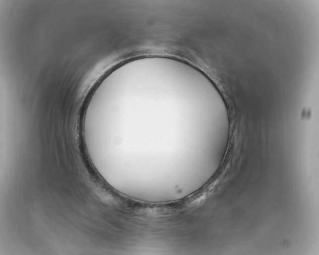 X0000091070103200709041228