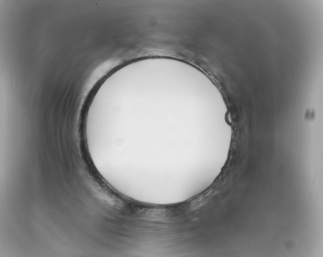 X0000091070104200709041228