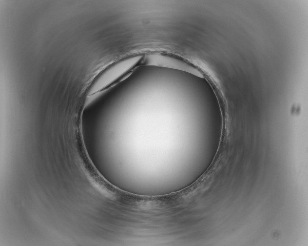 X0000091070105200709041228