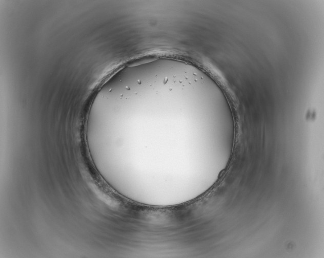 X0000091070106200709041228
