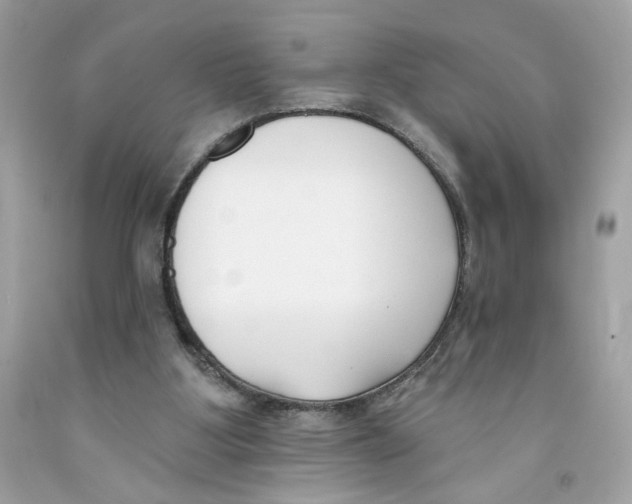 X0000091070107200709041228