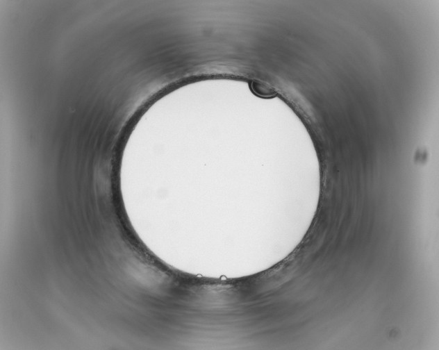 X0000091070108200709041228