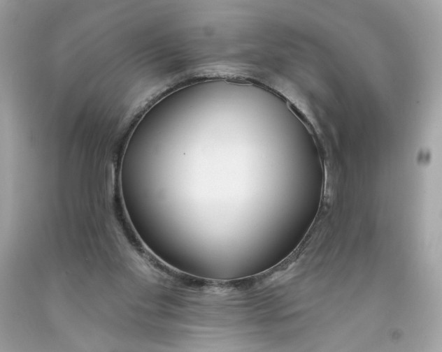 X0000091070109200709041228