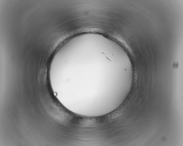 X0000091070110200709041228