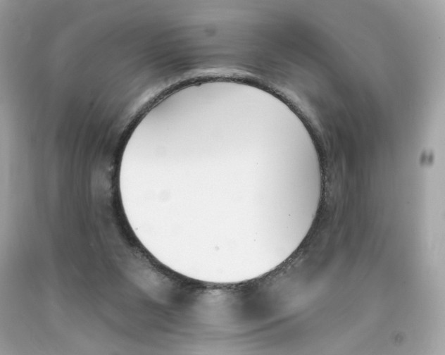 X0000091070111200709041228