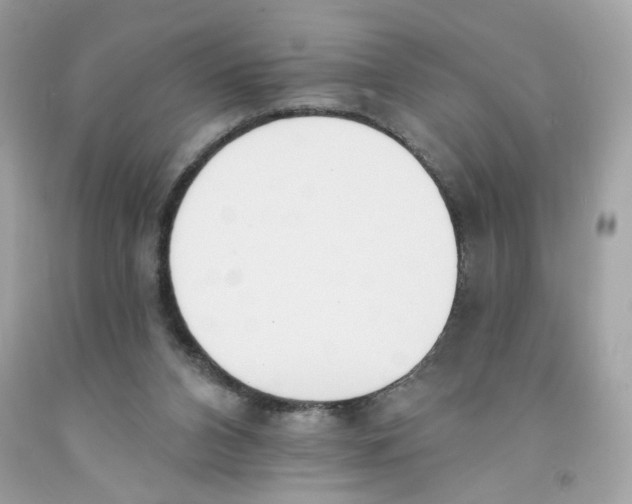 X0000091070112200709041228