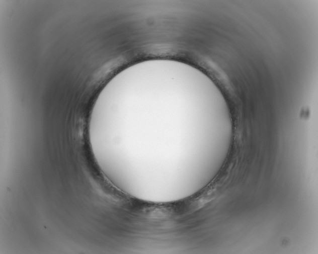 X0000091070115200709041228