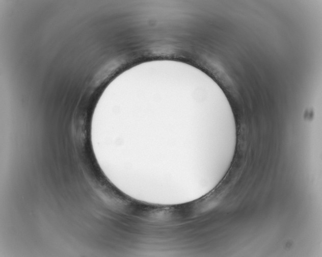 X0000091070116200709041228