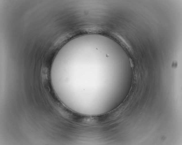 X0000091070117200709041228