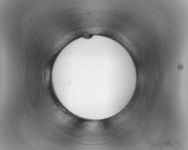 X0000091070118200709041228