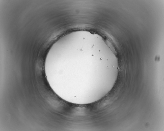 X0000091070119200709041228