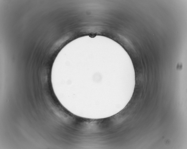 X0000091070120200709041228