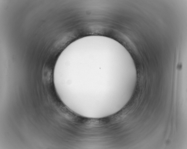 X0000091070123200709041227