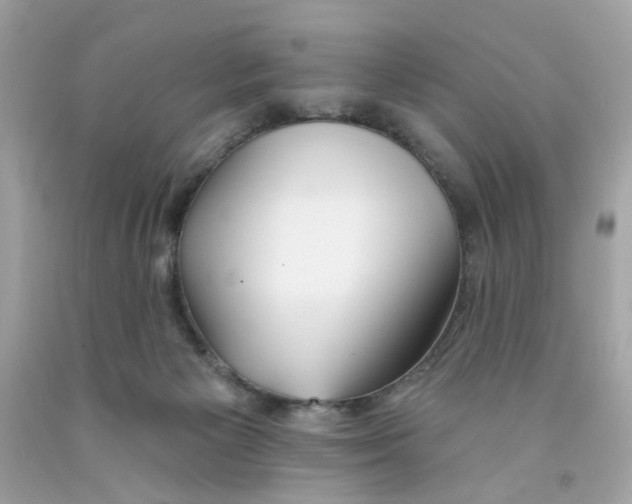 X0000091070125200709041227