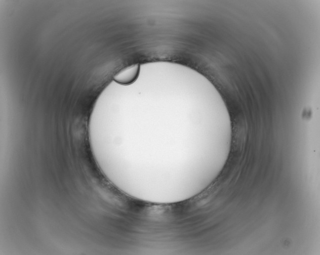 X0000091070126200709041227