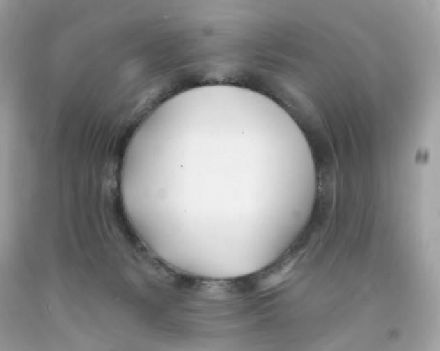 X0000091070127200709041227