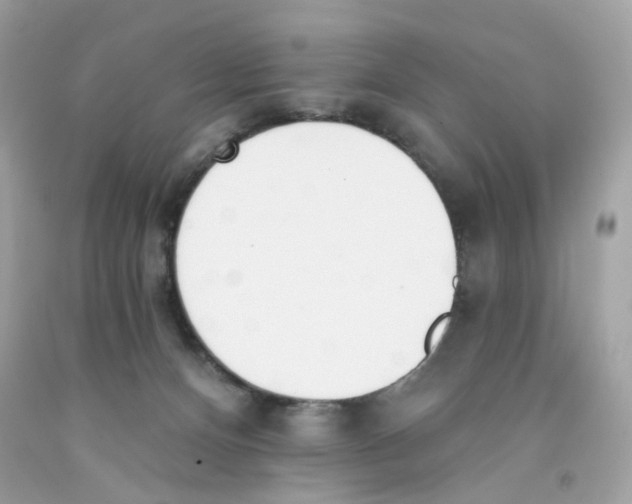 X0000091070128200709041227